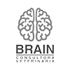 Brain